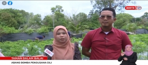 PROGRAM USAHAWAN TANAMAN FERTIGASI