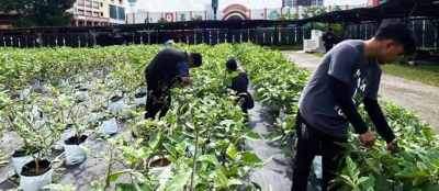 SUKARELAWAN KYP ADVANCED SKILLS MEMBANTU USAHAWAN RENTAN MENUAI HASIL PROJEK FERTIGASI TERUNG